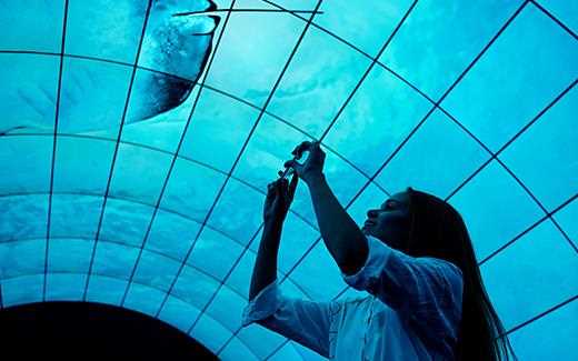 A photo of capturing a woman mesmerised by lg oled tunnel at berlin ifa 2017.