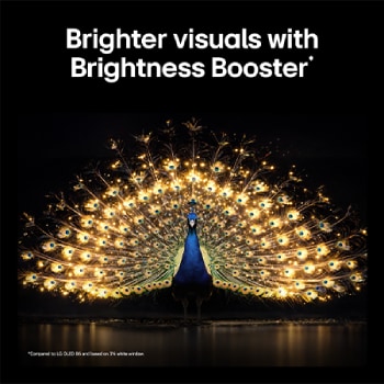 LG OLED evo AI C6 with Brightness Booster shows a dark scene where a brilliantly illuminated peacock spreads its radiant, glowing feathers, delivering brighter highlights with improved detail and striking contrast.