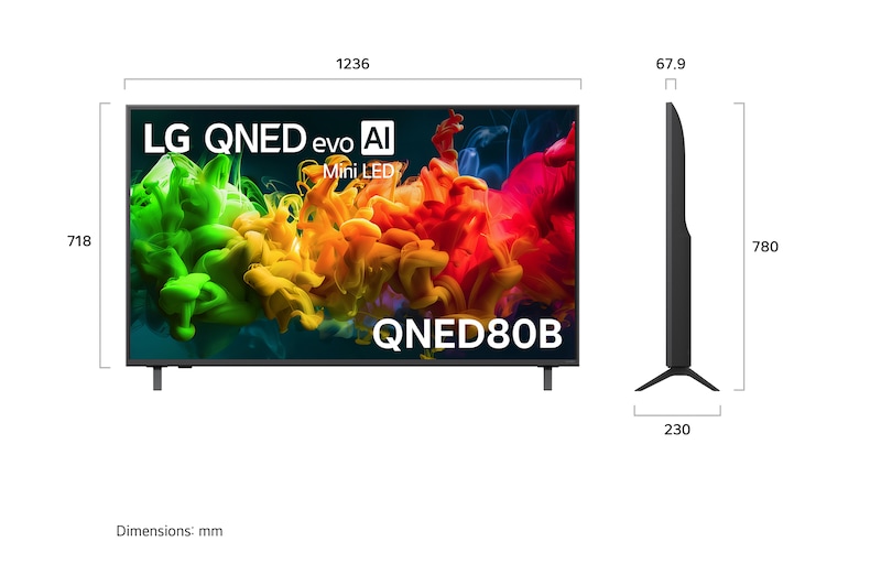 LG QNED evo AI QNED80 Mini LED shown in front and side views highlights a 65-inch display with a 1455 mm-wide screen, 841 mm screen height, 904 mm height with stand, a 67.9 mm profile depth, and a stand footprint measuring 1217 by 269 mm.
