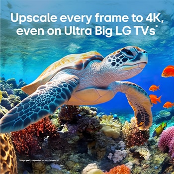 LG QNED evo AI QNED80 Mini LED with 4K Super Upscaling and Dynamic Tone Mapping shows an underwater scene of an orca swimming, as AI recognizes the image and upscales every frame to 4K resolution.