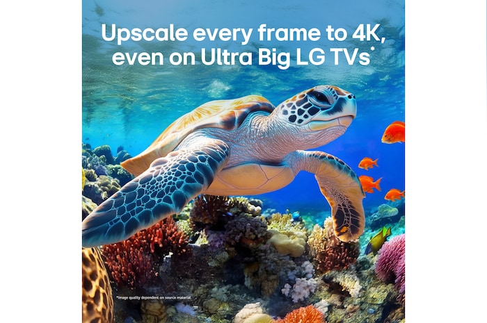 LG QNED evo AI QNED80 Mini LED with 4K Super Upscaling and Dynamic Tone Mapping shows an underwater scene of an orca swimming, as AI recognizes the image and upscales every frame to 4K resolution.
