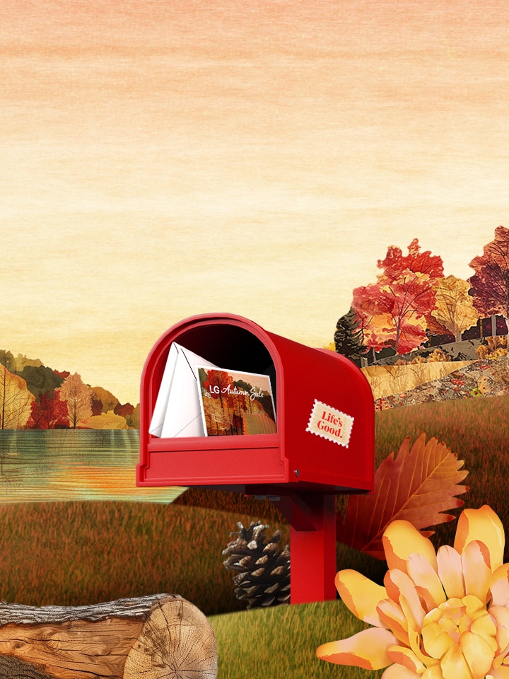 Autumn Sale