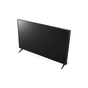 LG 32" Essential Commercial TV, 32LT340C