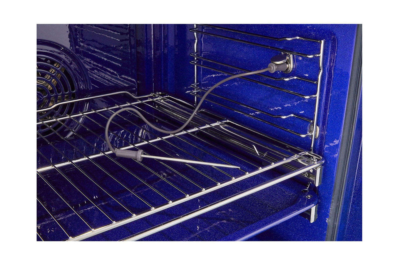 Full Steam_MeatProbe