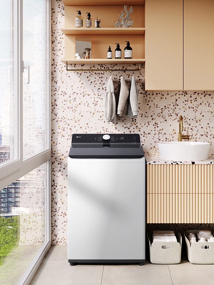 White LG top-loading washer in a bright utility room with sink, plants, storage baskets, and city view through windows