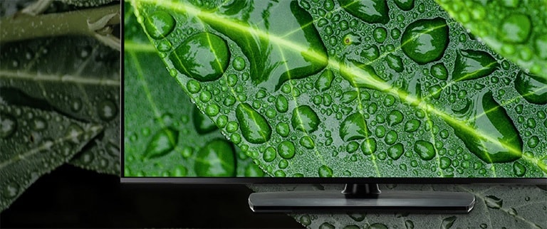 LG NanoCell TV