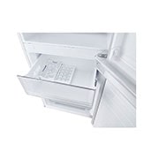 LG 306L Bottom Mount Fridge with Door Cooling in White Finish​, GB-335WL