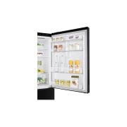 LG 420L Bottom Mount Fridge with Door Cooling in Black Finish, GB-455BLE