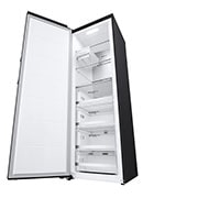 LG 324L Pigeon Pair Freezer - Matte Black Finish, GP-F324MBL