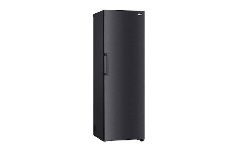 LG 386L Pigeon Pair Fridge - Matte Black Finish, GP-R386MBL