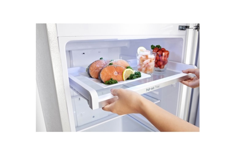 LG 223L Top Mount Fridge with Inverter Compressor, GT-223MWL