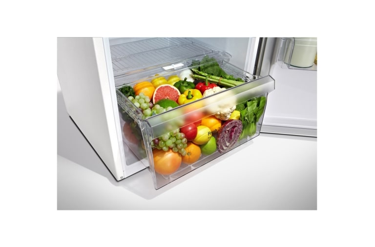 LG 223L Top Mount Fridge with Inverter Compressor, GT-223MWL