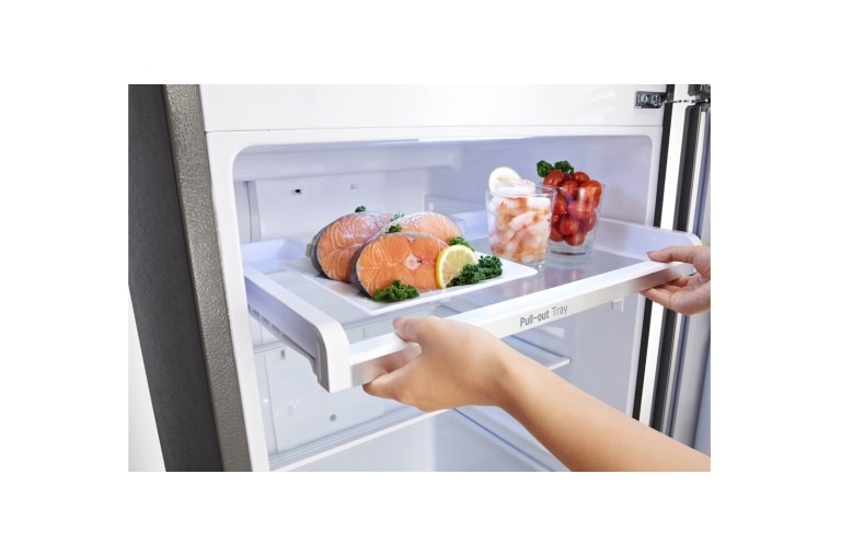 LG 279L Top Mount Fridge with Inverter Compressor, GT-279MPL