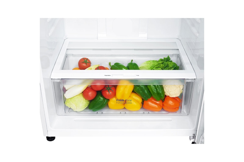 Inside view of white finish top mount fridge freezer LG GT-515WDC