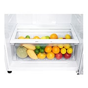 LG 478L Top Mount Fridge in White Finish, GT-515WDC