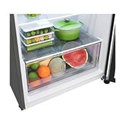 LG 395L Top Mount Fridge - Stainless Finish, GT-6S