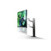 LG 27'' UltraGear QHD Nano IPS 1ms 144Hz HDR G-SYNC Compatibility Monitor with Ergo Stand, 27GN880-B