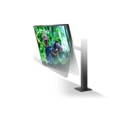 LG 27'' UltraGear QHD Nano IPS 1ms 144Hz HDR G-SYNC Compatibility Monitor with Ergo Stand, 27GN880-B
