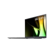 LG gram 16 Inch Lightweight Laptop | 16GB RAM, Intel® Core™ Ultra 5,  Windows 11 Pro, Anti-glare IPS display, 16Z90S-G.AP55A