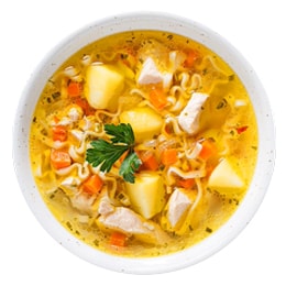 Chicken and Vegetable Noodle Soup