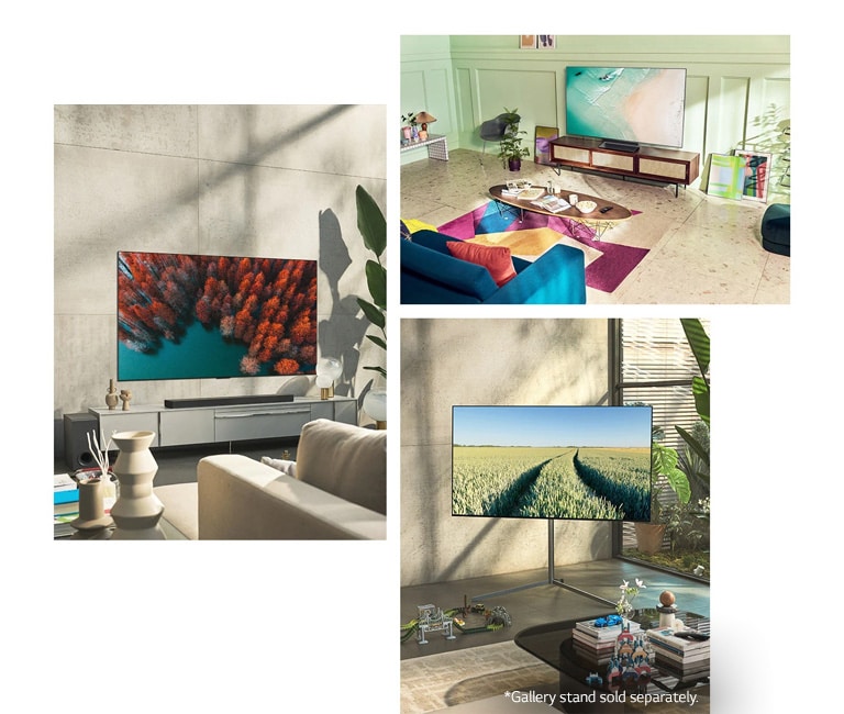 An LG OLED G2 is hung on the wall in a living room with plants, a pile of books, and a vintage-style cabinet. An LG OLED G2 is hung on the wall in a minimalist-looking room beside a shelf with monochrome ornaments. A side view of the ultra-slim edge of LG OLED G2. An LG OLED G2 is hung on a colorful living room wall with a dried planet, diffuser, and vases. A close-up of an edge on the ultra-slim LG OLED G2.