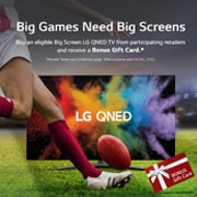 LG QNED91 Series 75 inch 4K TV w/ Quantum Dot, NanoCell & Mini LED Technology, 75QNED91TPA