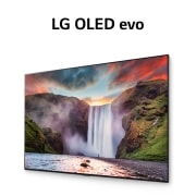 LG G1 77 inch OLED evo TV with Self Lit OLED Pixels, OLED77G1PTA-PACK