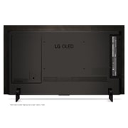 LG 42 inch LG OLED evo C4 4K Smart TV, OLED42C4PSA