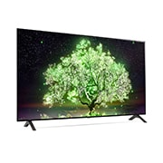 LG A1 55 inch 4K Smart Self-Lit OLED TV w/ AI ThinQ®, OLED55A1PTA