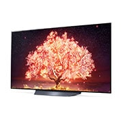 LG B1 55 inch 4K Smart Self-Lit OLED TV w/ AI ThinQ®, OLED55B1PTA