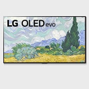 LG G1 55 inch with Gallery Design 4K Smart Self-Lit OLED evo TV w/ AI ThinQ®, OLED55G1PTA