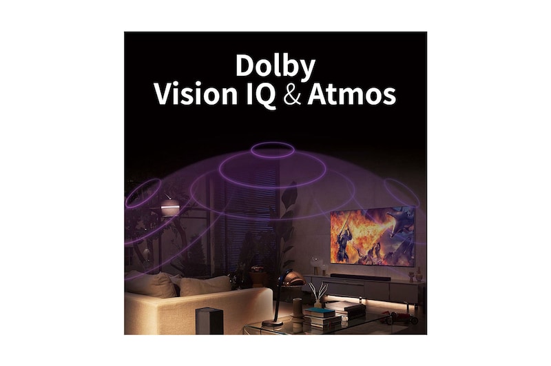 LG OLED TV CS 65 inch 4K Smart TV Self-Lit OLED Pixels, OLED65CSPSA