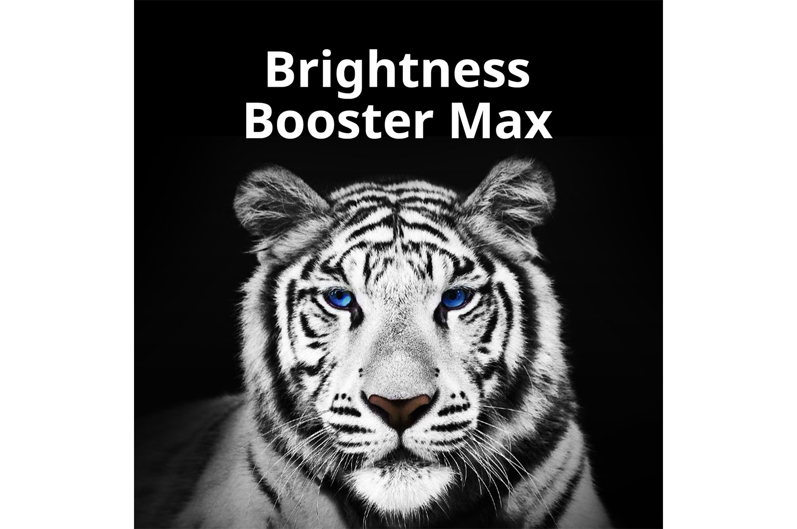 LG G3 77 inch OLED evo TV with Self Lit OLED Pixels, OLED77G3