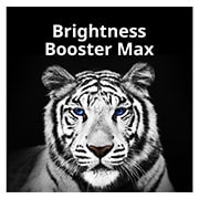 LG G3 77 inch OLED evo TV with Self Lit OLED Pixels, OLED77G3