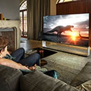 LG SIGNATURE ZX 88 inch 8K Smart Self-Lit OLED TV w/ AI ThinQ®, OLED88ZXPTA