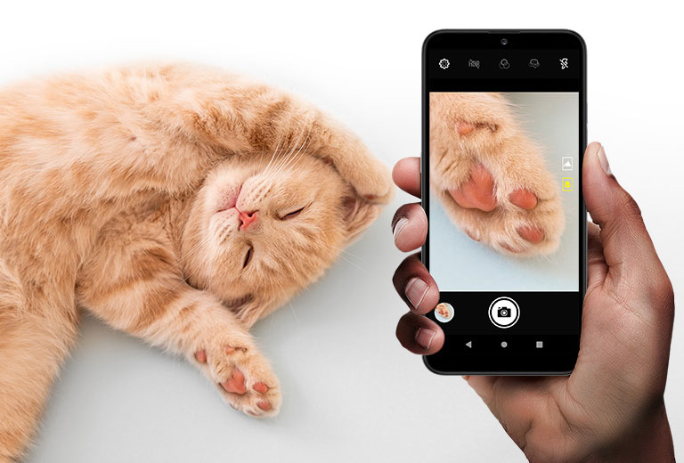 Smartphone fotografando a pata de um gatinho