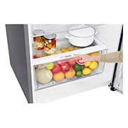 LG Geladeira Duplex Smart Top Freezer 506 litros com Door Cooling+™ e Hygiene Fresh+™, GT51BPP1