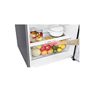 LG Geladeira Smart Top Freezer 506 litros com Door Cooling+™ e Hygiene Fresh+™, GT51BPP