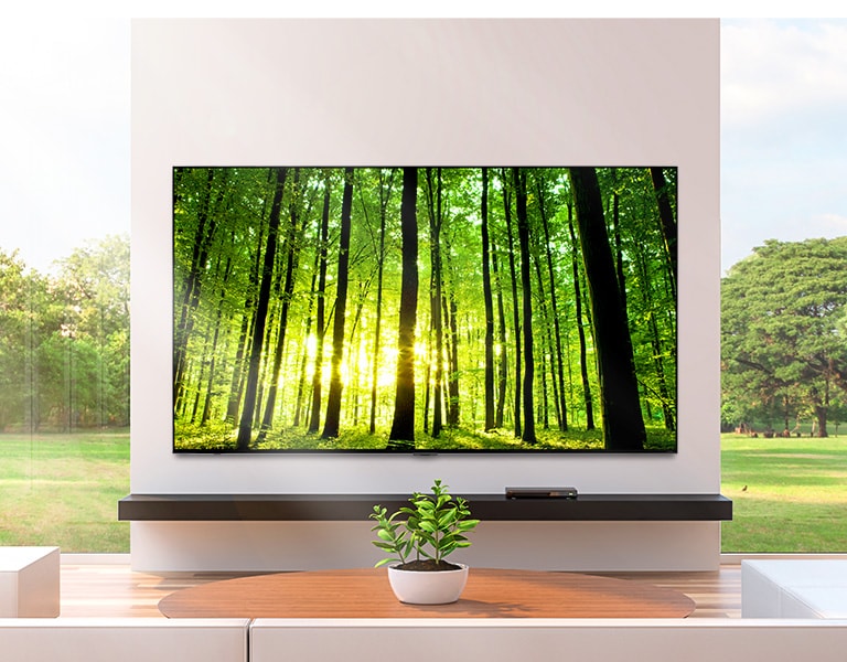 Uma grande TV de tela plana instalada na parede, defronte a uma janela panorâmica. Na frente da TV, uma pequena planta adorna a mesa de centro.