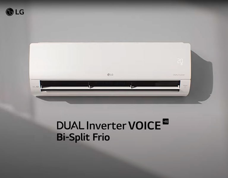 Dual Inverter