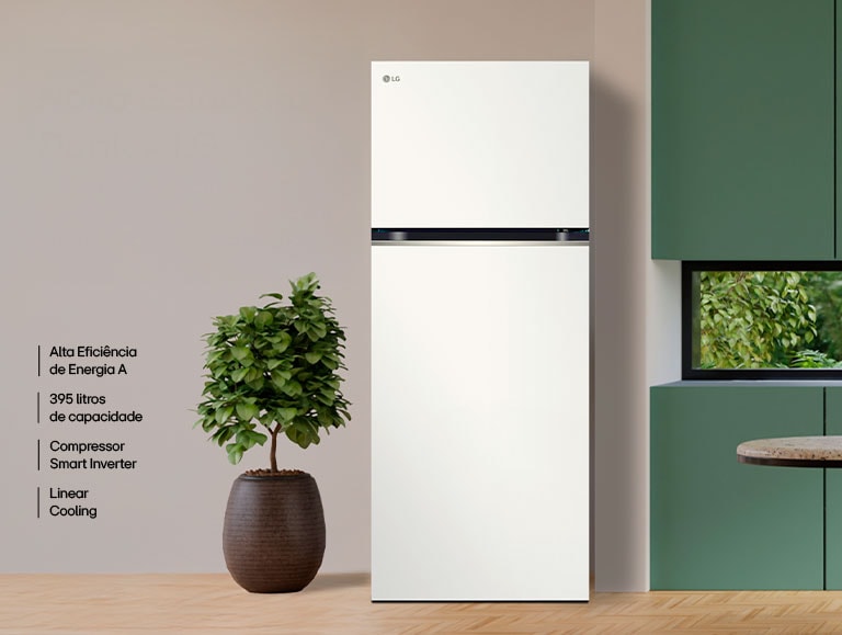 Nova Geladeira Duplex LG