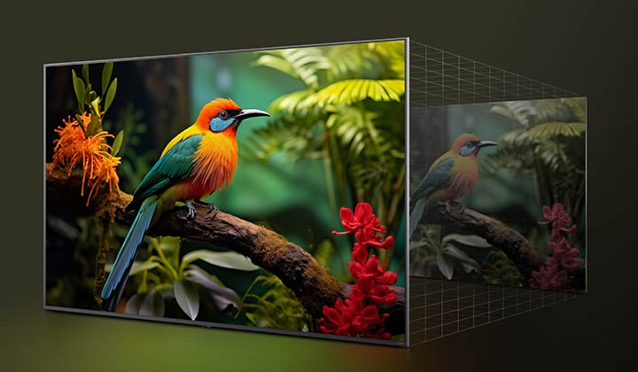 Comparação antes e depois de como o LG 4K Super Upscaling melhora a qualidade da imagem. Dois painéis mostrando a mesma imagem de um pássaro colorido pousado em um galho em uma floresta; o painel da direita está desbotado.