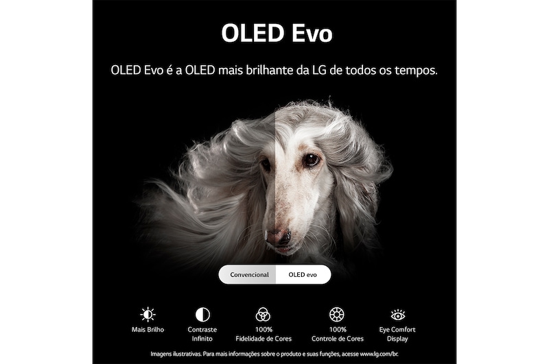 LG Smart TV LG Evo 42'' 4K 120Hz G-Sync FreeSync Inteligência Artificial ThinQ Google Alexa OLED42C2PSA, OLED42C2PSA