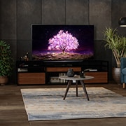 LG Smart TV LG OLED 48'' 4K120Hz G-Sync FreeSync Inteligência Artificial ThinQ Google Alexa OLED48C1PSA, OLED48C1PSA