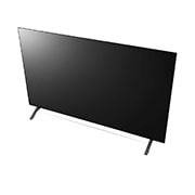 LG 2021 Smart TV LG 55" 4K OLED55A1 Dolby Vision IQ Dolby Atmos Inteligência Artificial ThinQ AI Google Alexa, OLED55A1PSA