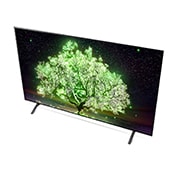 LG 2021 Smart TV LG 65" 4K OLED65A1 Dolby Vision IQ Dolby Atmos Inteligência Artificial ThinQ AI Google Alexa, OLED65A1PSA