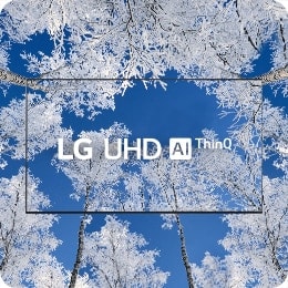 A TV com o logotipo LG UHD está disposta no meio – árvores gélidas de inverno estão por toda a tela da TV e no fundo.