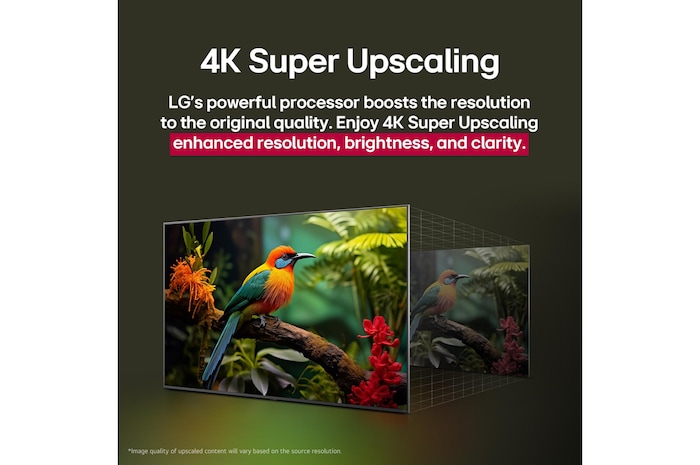 Before and after comparison of how LG 4K Super Upscaling improves image quality. Two panels showing the same image of a colourful bird sitting on a branch in a forest, panel on the right is faded out. The title talks about how 4K Super Upscaling enhances resolution, brightness and clarity.