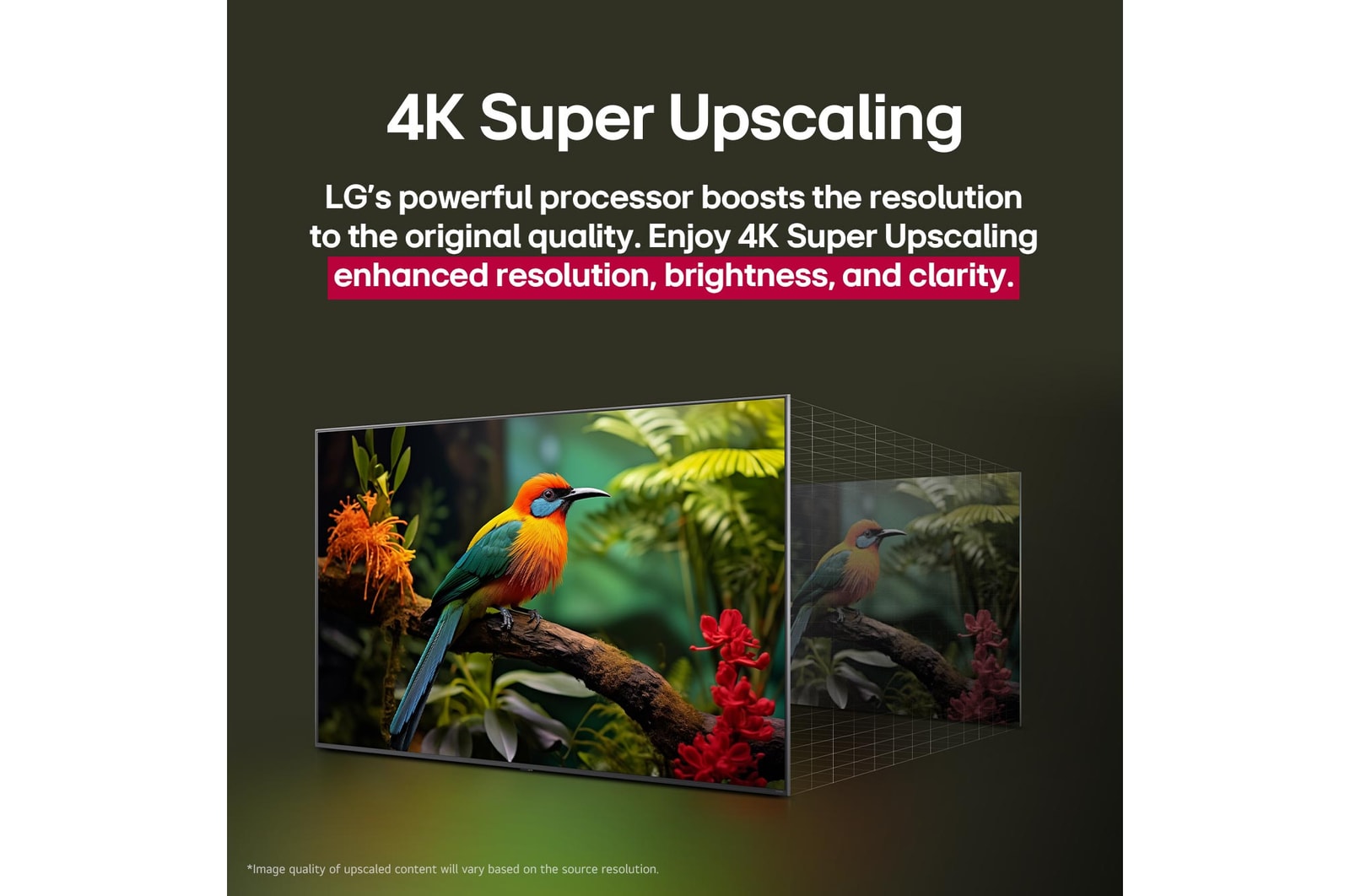 Before and after comparison of how LG 4K Super Upscaling improves image quality. Two panels showing the same image of a colourful bird sitting on a branch in a forest, panel on the right is faded out. The title talks about how 4K Super Upscaling enhances resolution, brightness and clarity.