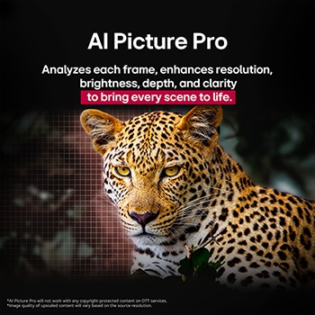 Leopard in the forest in vivid color and detail. The leopard has a grid and a light glowing behind it, indicating how LG AI Picture Pro made impressive visual enhancements to the scene's resolution, brightness, depth, and clarity.
